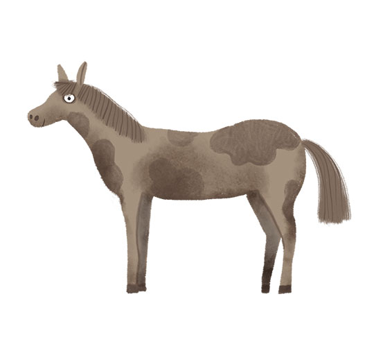 Horse